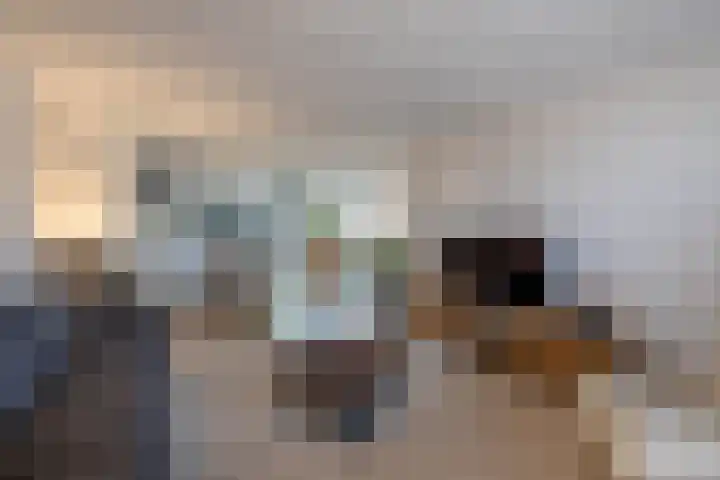 Borg Piloursema 5 Almelo thumbnail 7