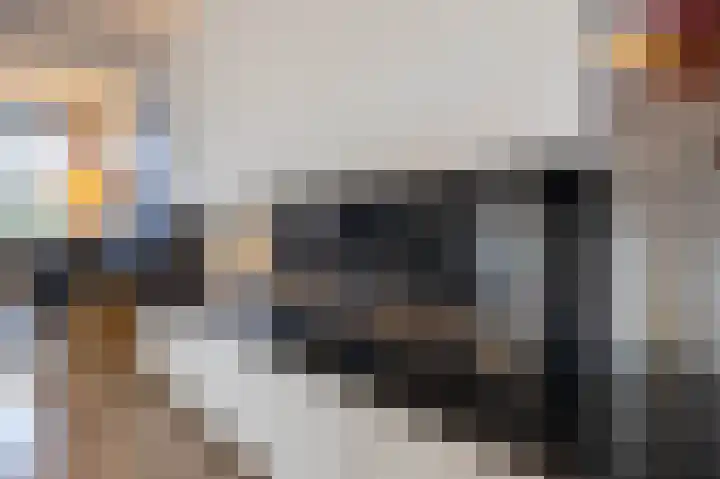 Borg Piloursema 5 Almelo thumbnail 8