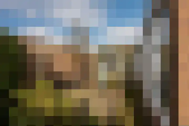 Borg Piloursema 7 Almelo thumbnail 23