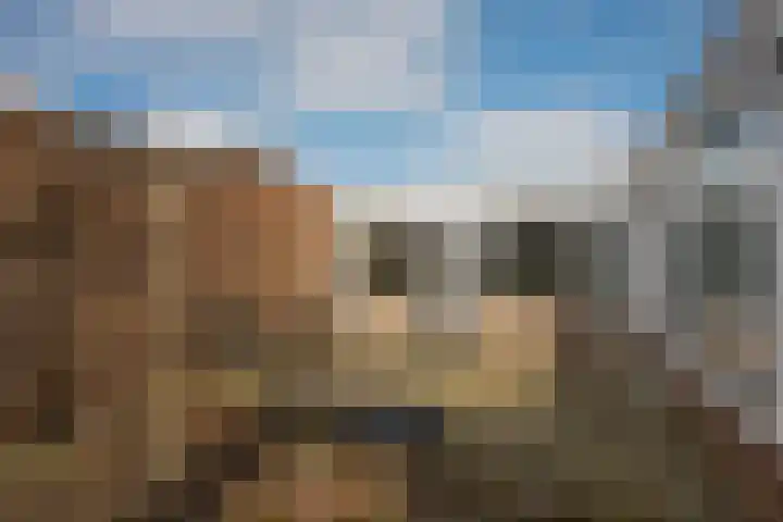 Borg Piloursema 7 Almelo thumbnail 24