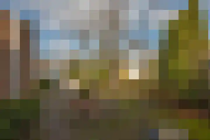 Borg Piloursema 7 Almelo thumbnail 25