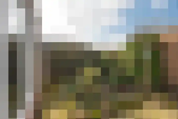 Borg Piloursema 7 Almelo thumbnail 26