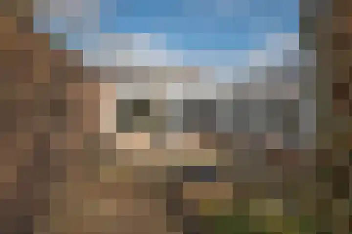 Borg Piloursema 7 Almelo thumbnail 27