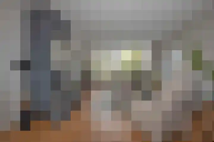 Borg Piloursema 7 Almelo thumbnail 4