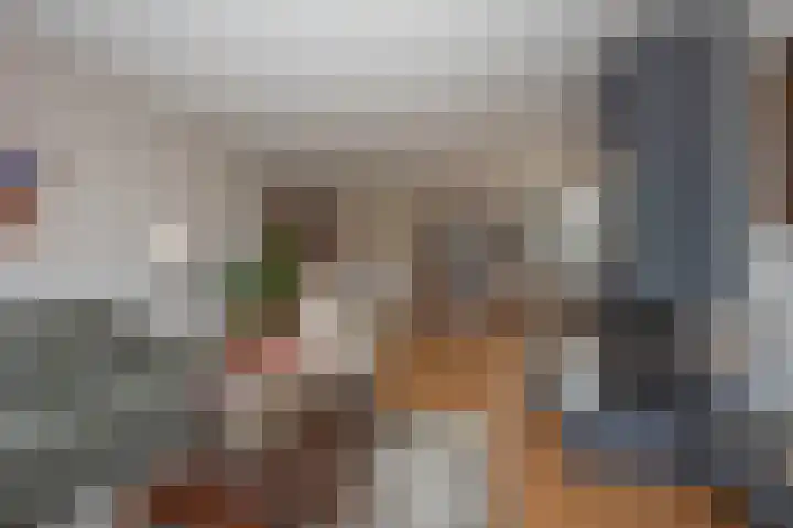 Borg Piloursema 7 Almelo thumbnail 5