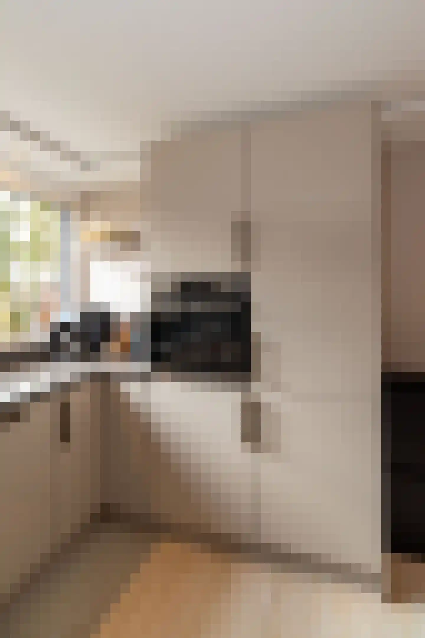 Borg Rusthoven 1 Almelo thumbnail 24