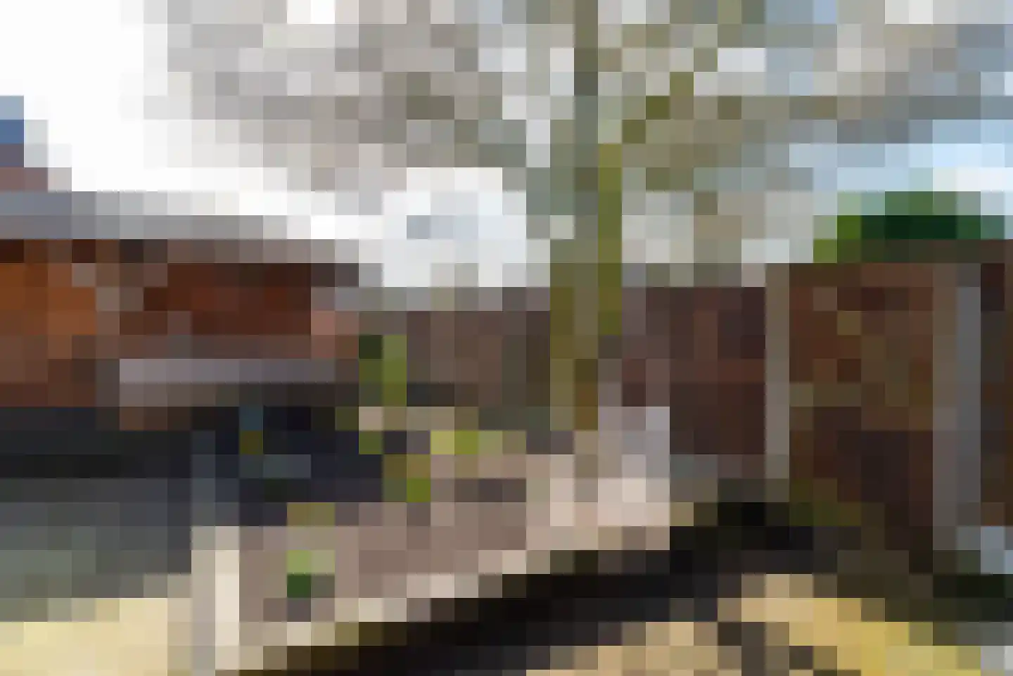 Borg Rusthoven 1 Almelo thumbnail 47