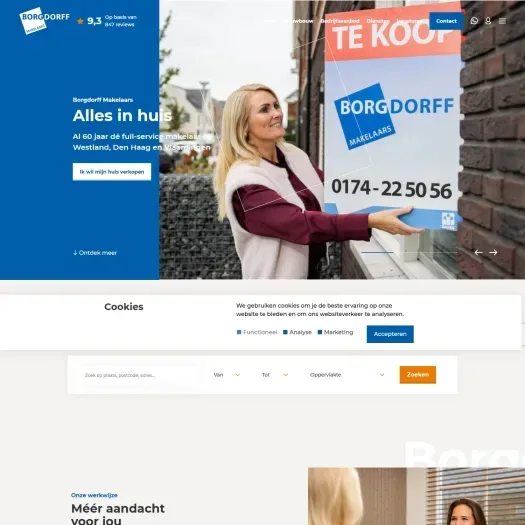 Screenshot of the website of www.borgdorff.nl