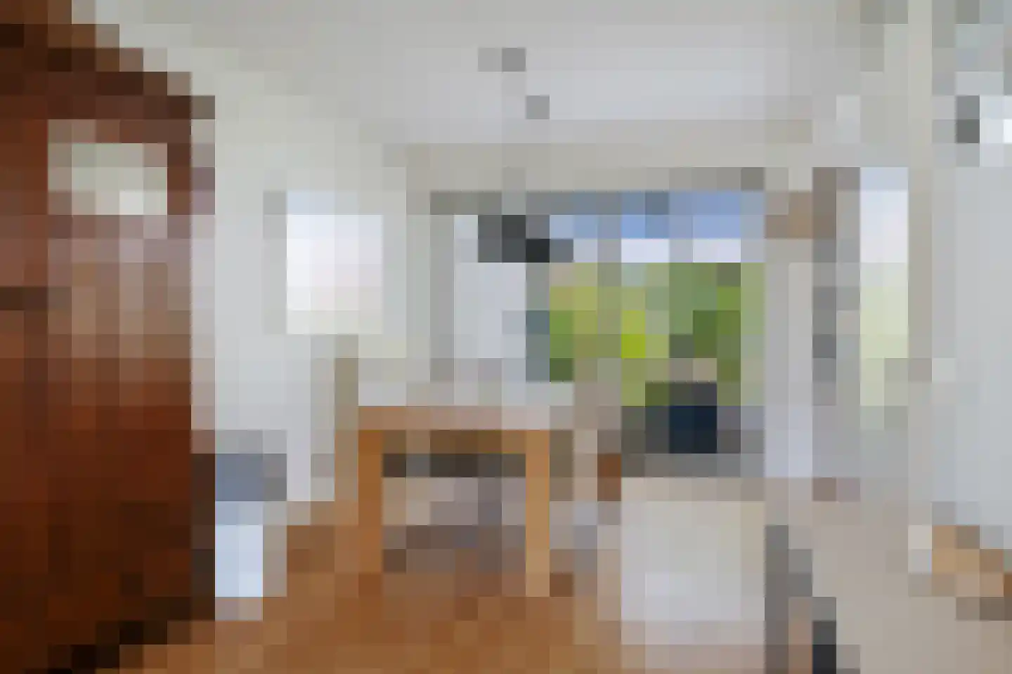 Borgelerhofweg 18 Deventer thumbnail 11