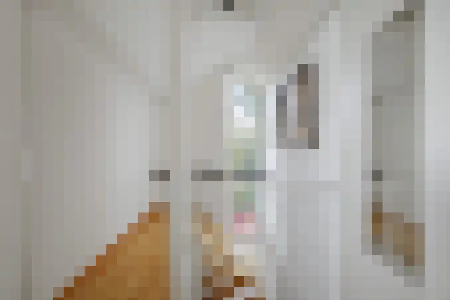 Borgelerhofweg 18 Deventer thumbnail 27
