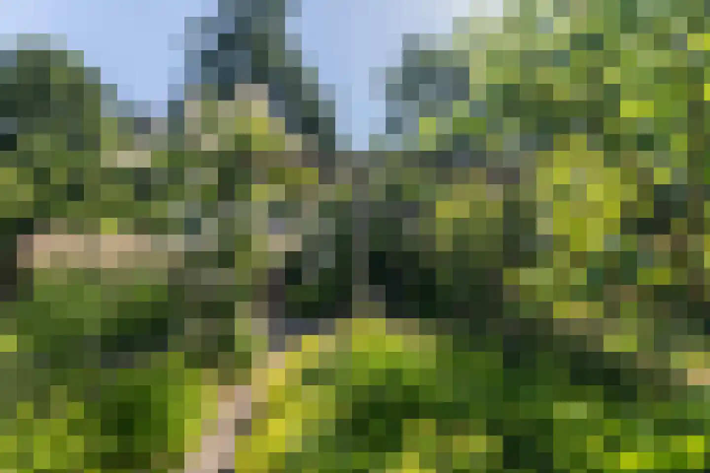 Borgelerhofweg 18 Deventer thumbnail 31
