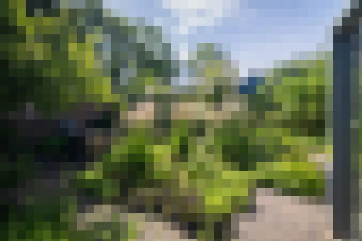 Borgelerhofweg 18 Deventer thumbnail 32
