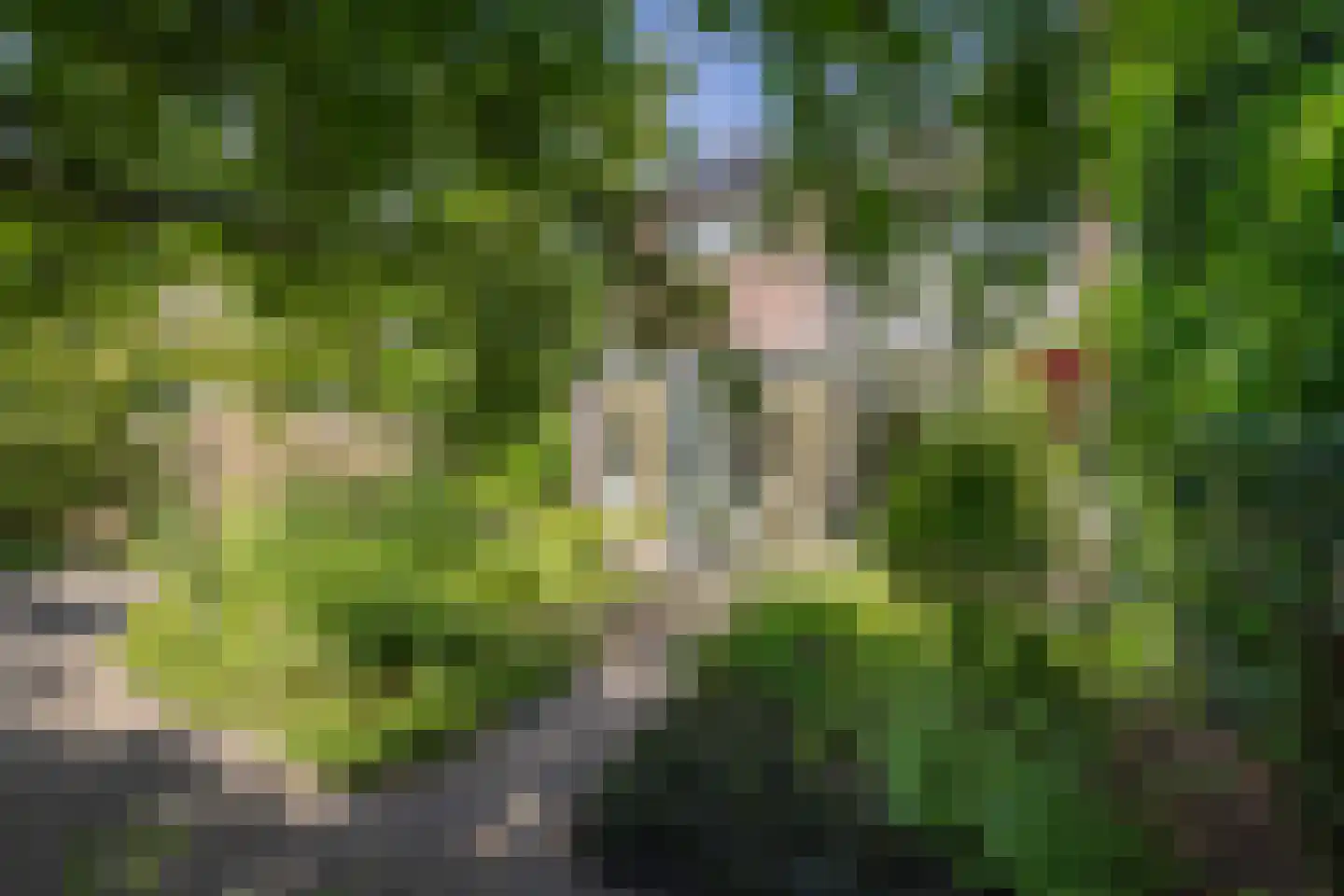 Borgelerhofweg 18 Deventer thumbnail 33