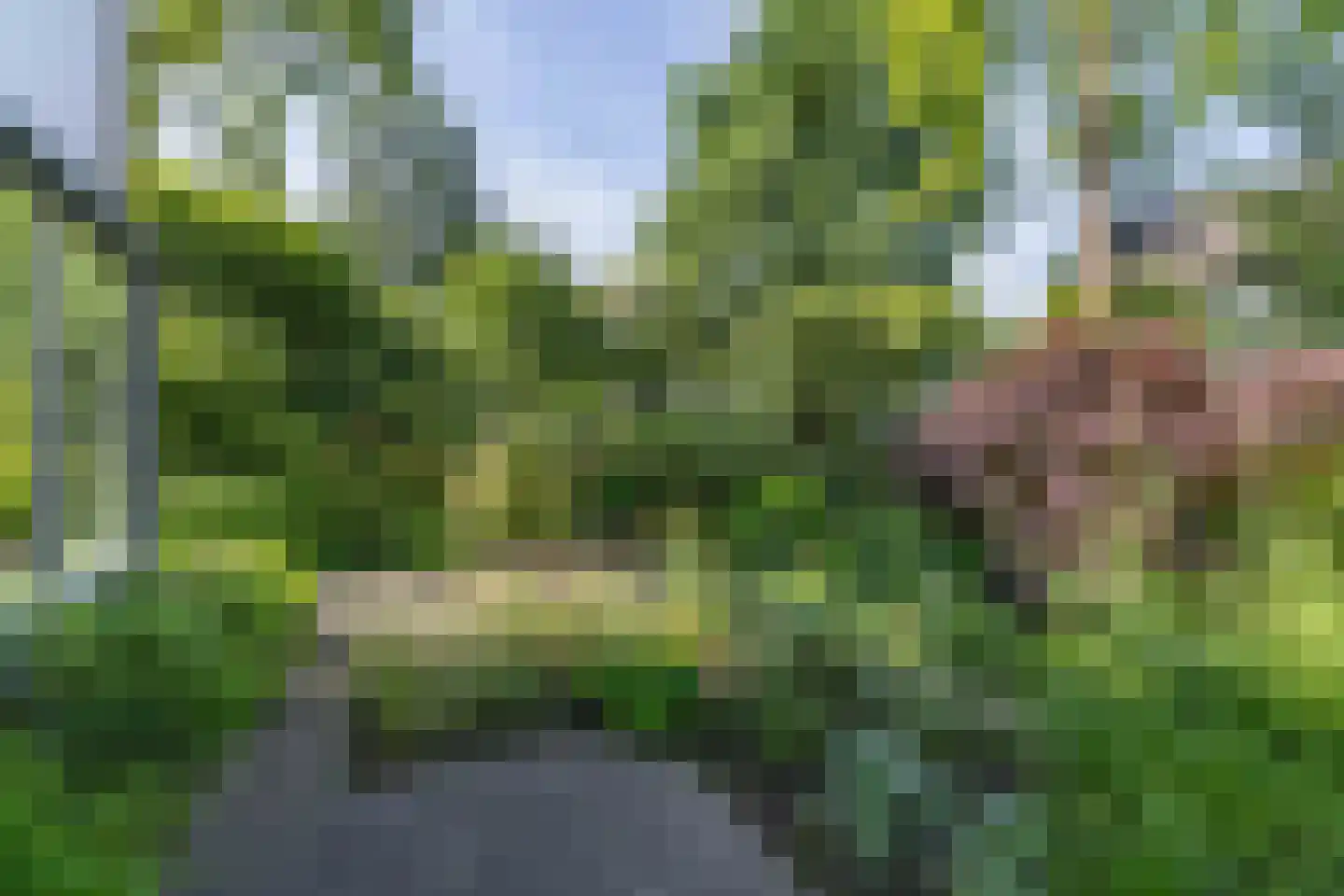Borgelerhofweg 18 Deventer thumbnail 38
