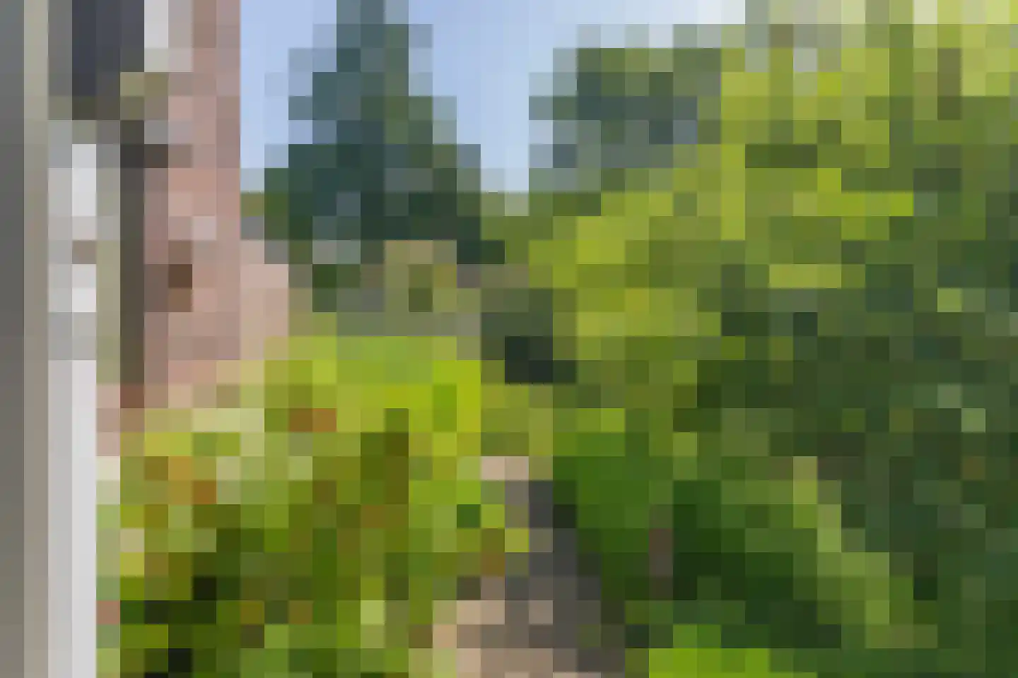 Borgelerhofweg 18 Deventer thumbnail 39