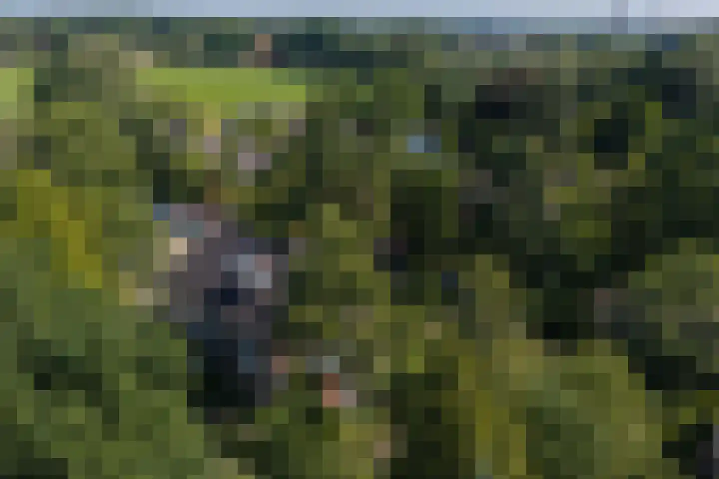 Borgelerhofweg 18 Deventer thumbnail 42