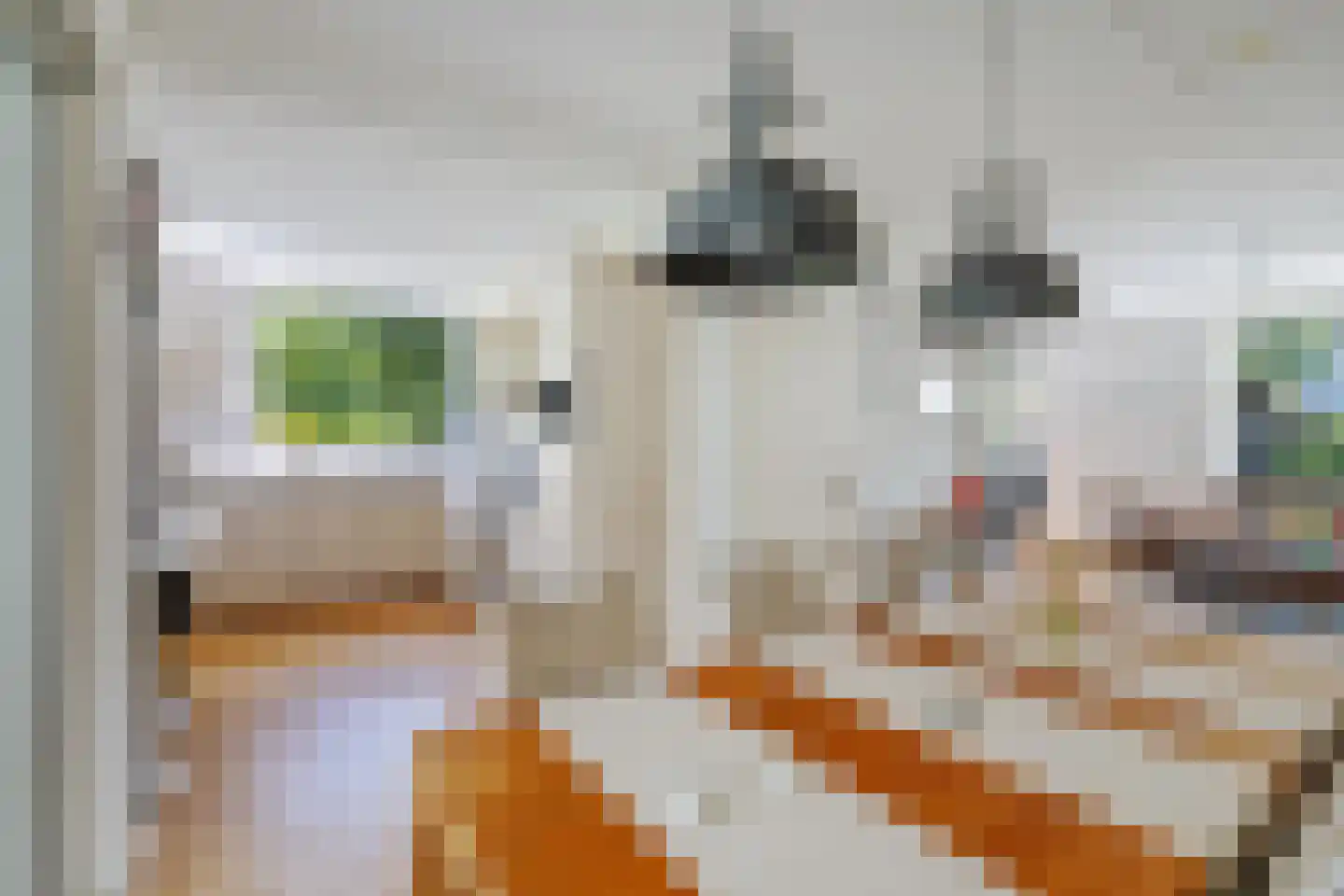 Borgelerhofweg 18 Deventer thumbnail 9