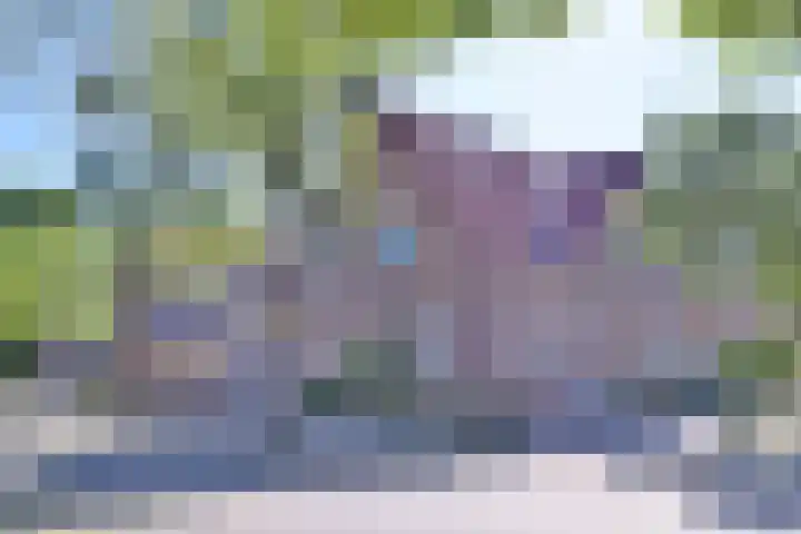 Borgelerstraat 54 in Deventer