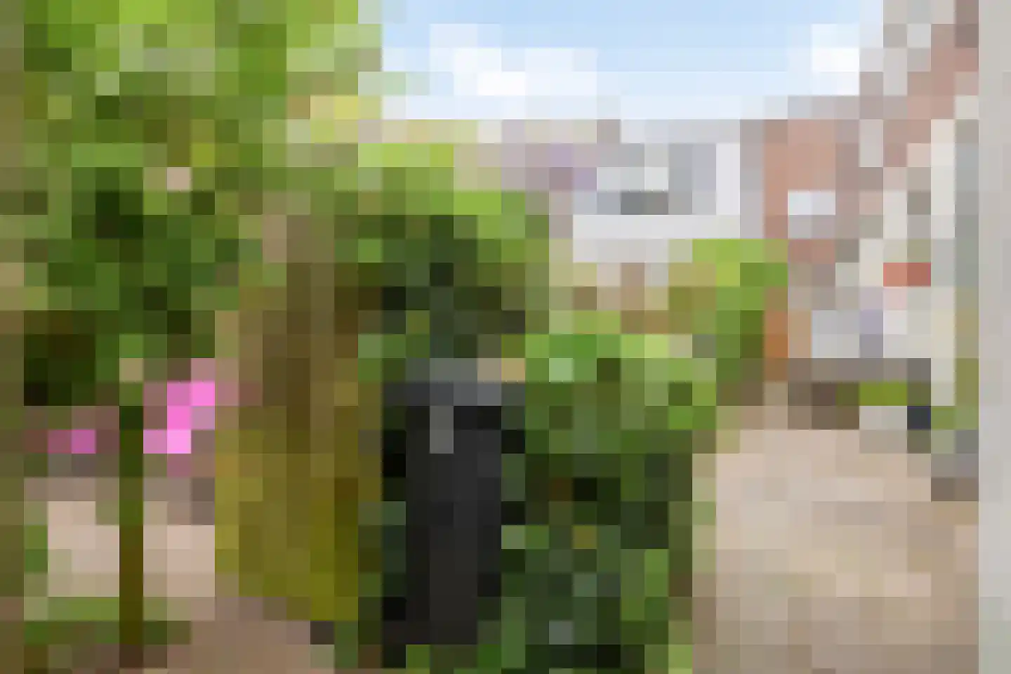 Borgelerstraat 9 Deventer thumbnail 29
