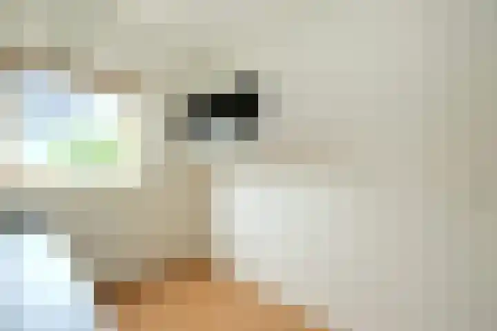 Borgelestraat 23 Zwolle thumbnail 17