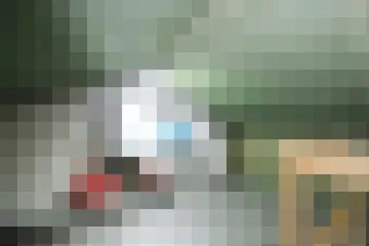 Borgelestraat 23 Zwolle thumbnail 22