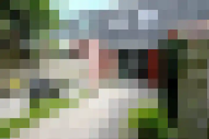 Borgelestraat 23 Zwolle thumbnail 23