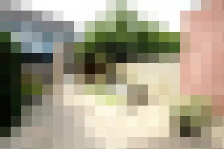 Borgelestraat 23 Zwolle thumbnail 24