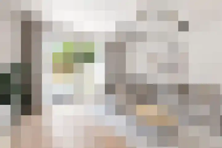 Borgelestraat 23 Zwolle thumbnail 4