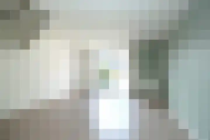 Borgelestraat 23 Zwolle thumbnail 5