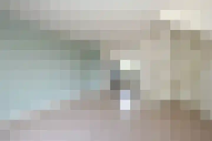Borgelestraat 23 Zwolle thumbnail 6