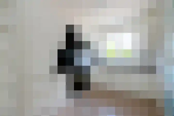 Borgelestraat 23 Zwolle thumbnail 9
