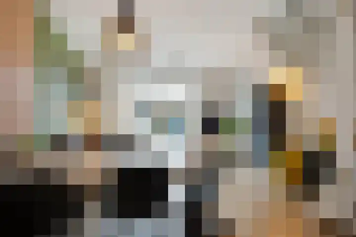 Borgelestraat 7 Zwolle thumbnail 12