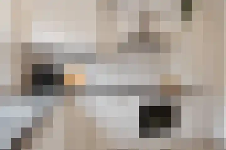 Borgelestraat 7 Zwolle thumbnail 18