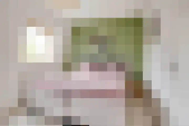 Borgelestraat 7 Zwolle thumbnail 20
