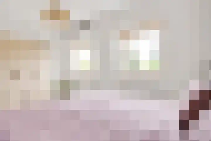 Borgelestraat 7 Zwolle thumbnail 23