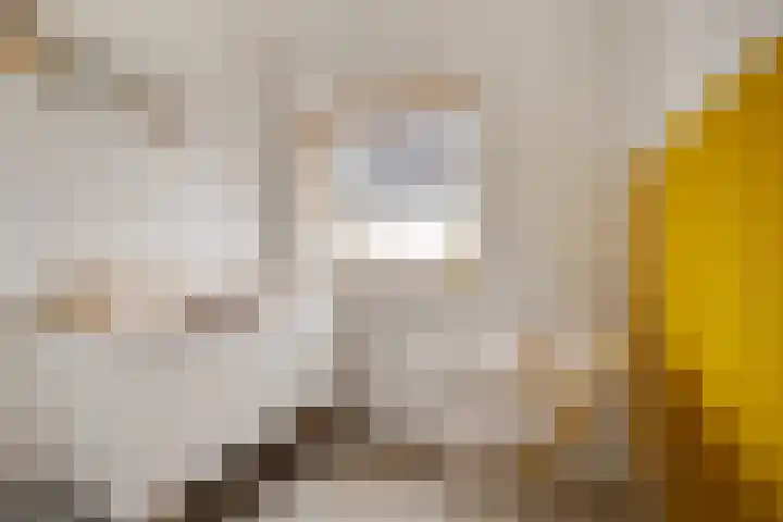 Borgelestraat 7 Zwolle thumbnail 25