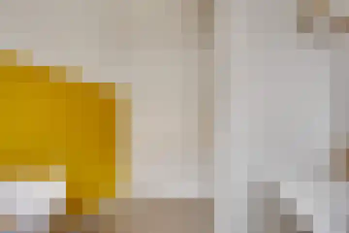 Borgelestraat 7 Zwolle thumbnail 26