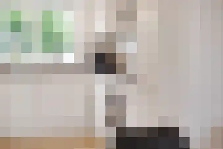 Borgelestraat 7 Zwolle thumbnail 5