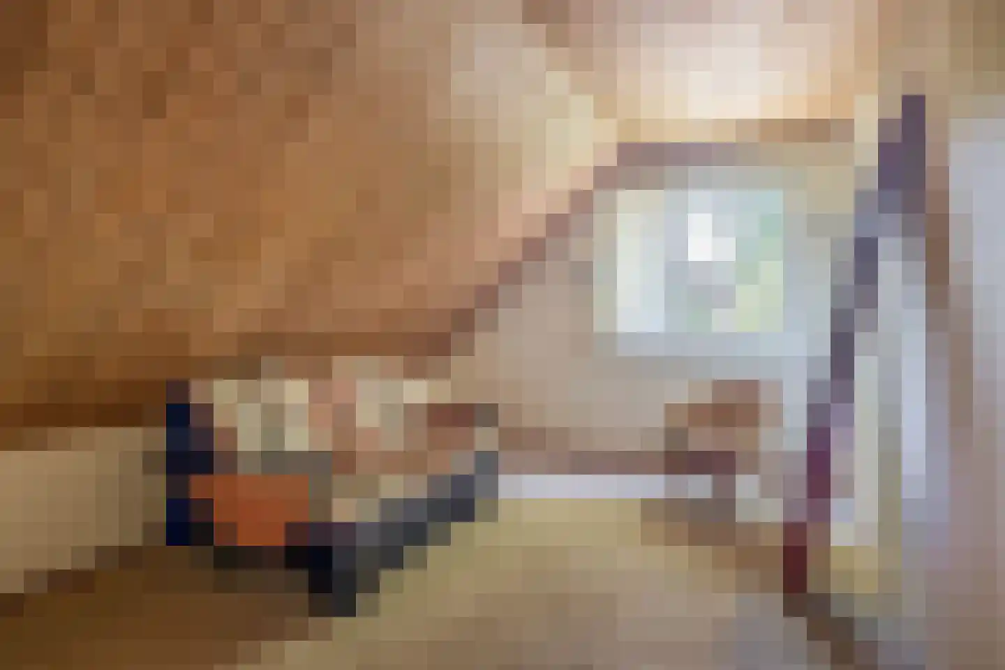 Borgenweg 3 Stadskanaal thumbnail 33