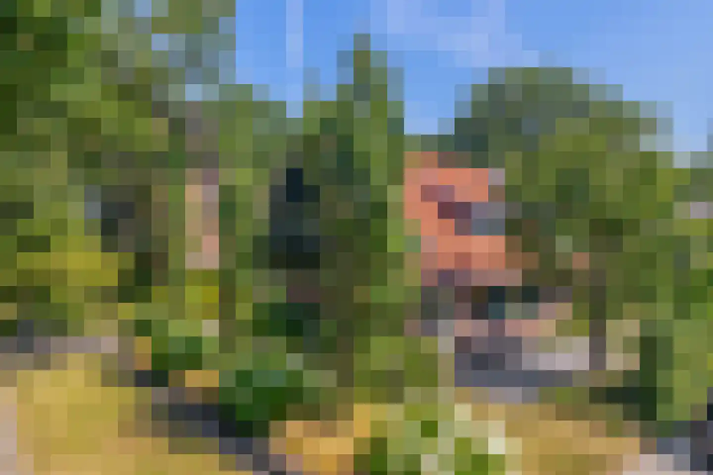 Borgenweg 3 Stadskanaal thumbnail 6