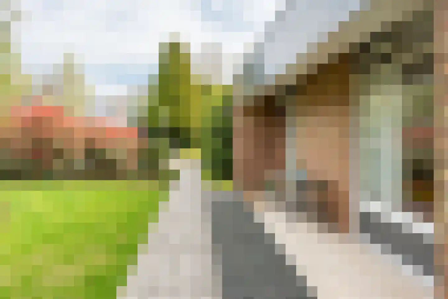Borgerbrink 112 Emmen thumbnail 33