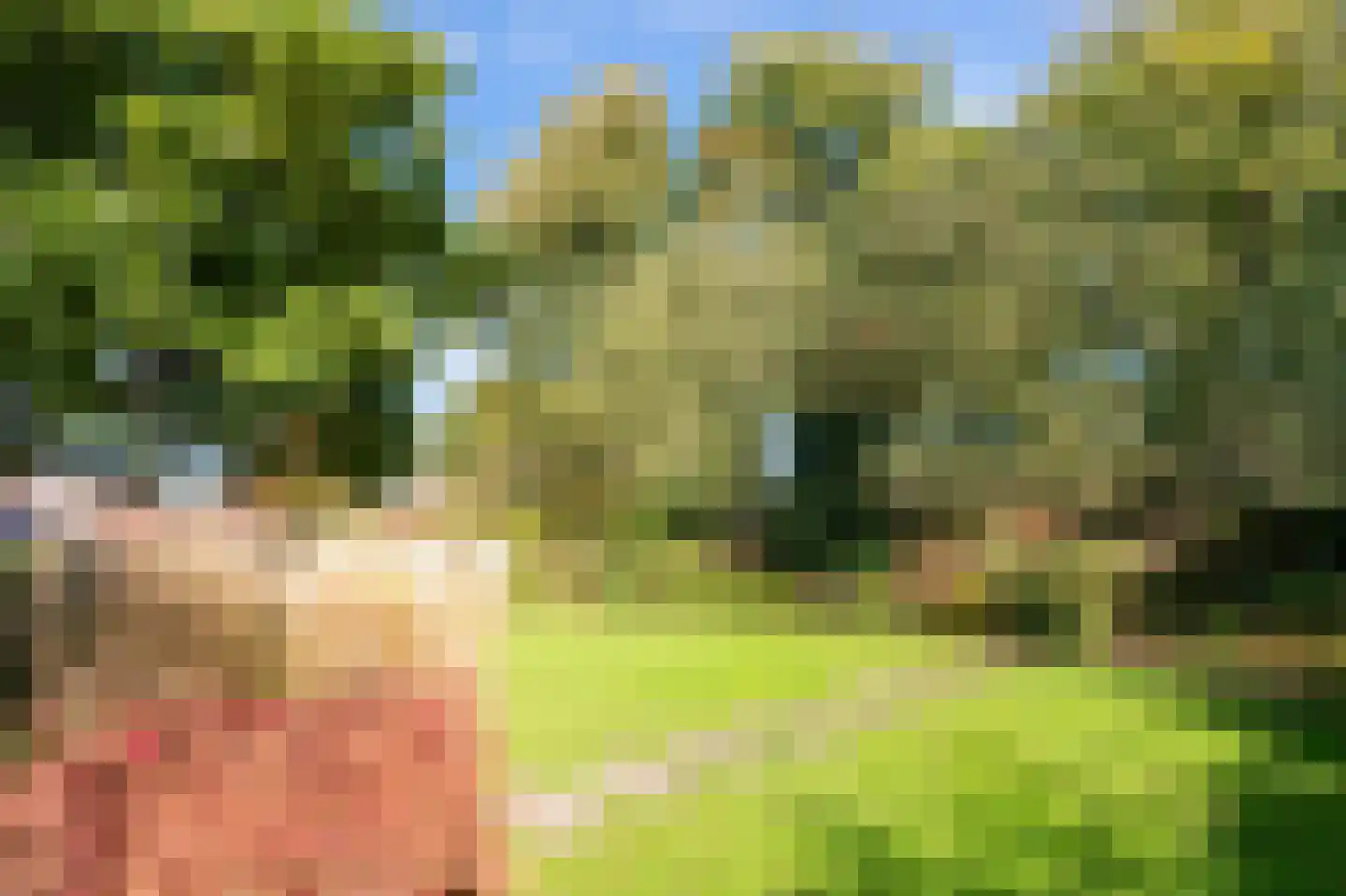 Borgerbrink 118 Emmen thumbnail 33