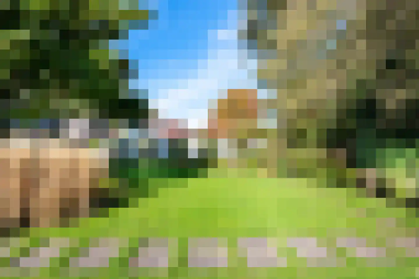 Borgerbrink 118 Emmen thumbnail 34