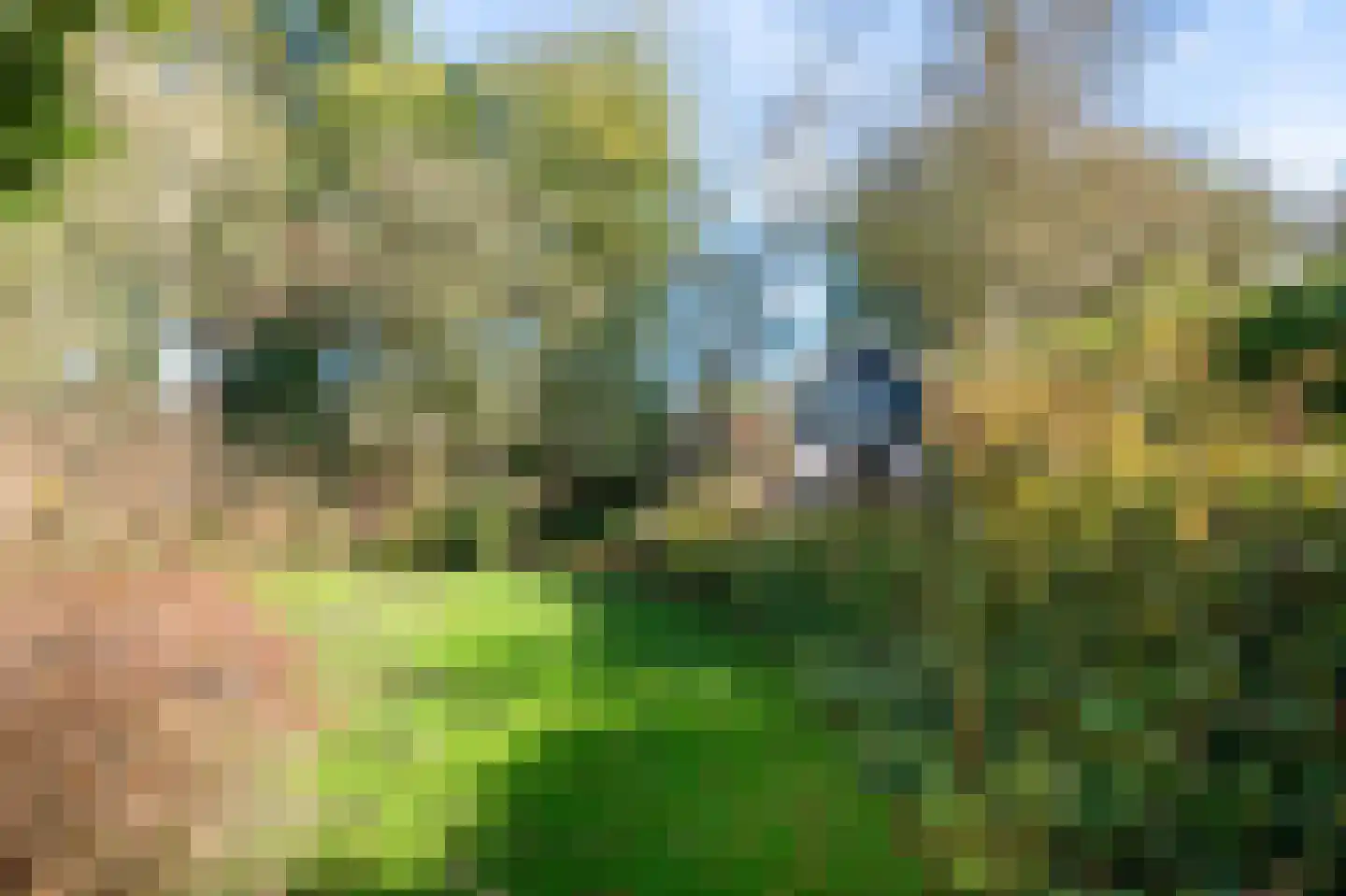 Borgerbrink 118 Emmen thumbnail 35