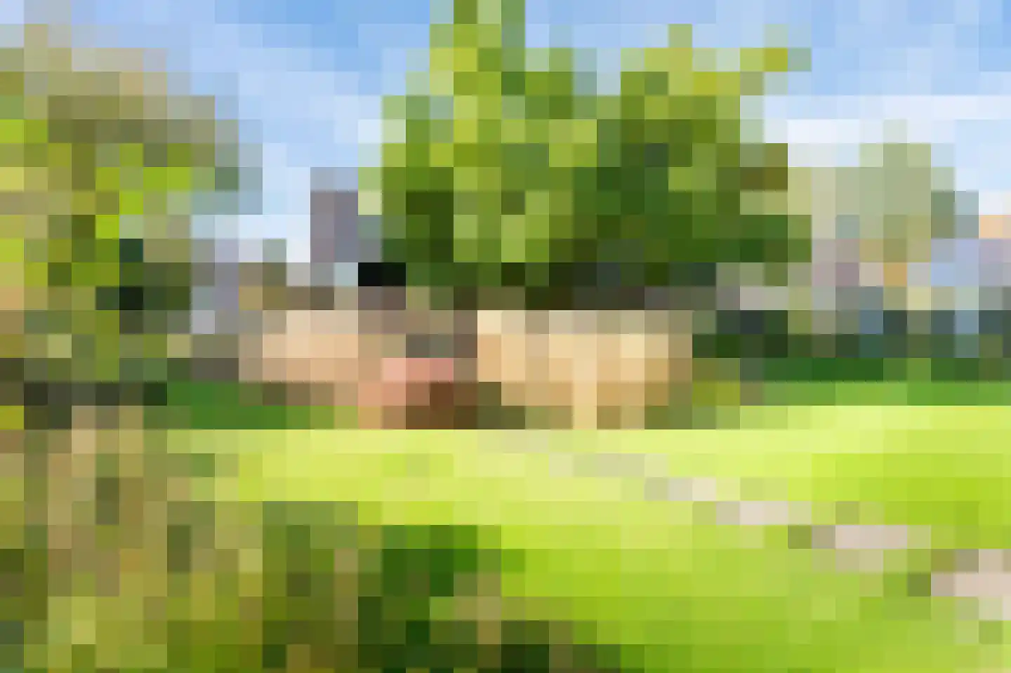 Borgerbrink 118 Emmen thumbnail 38