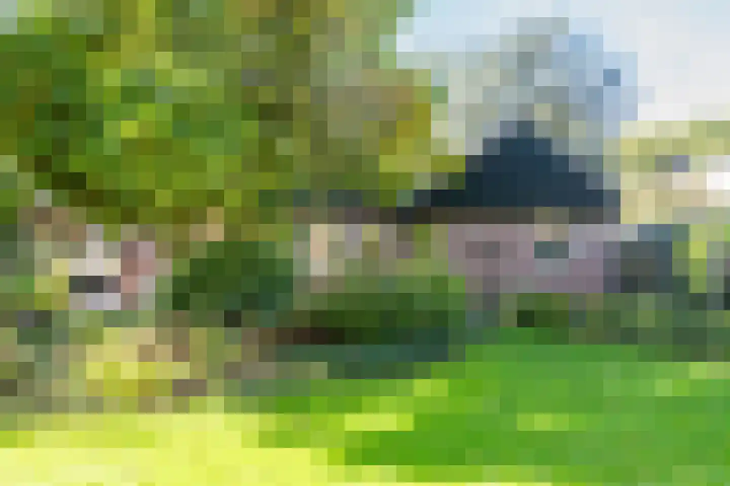 Borgerbrink 118 Emmen thumbnail 40