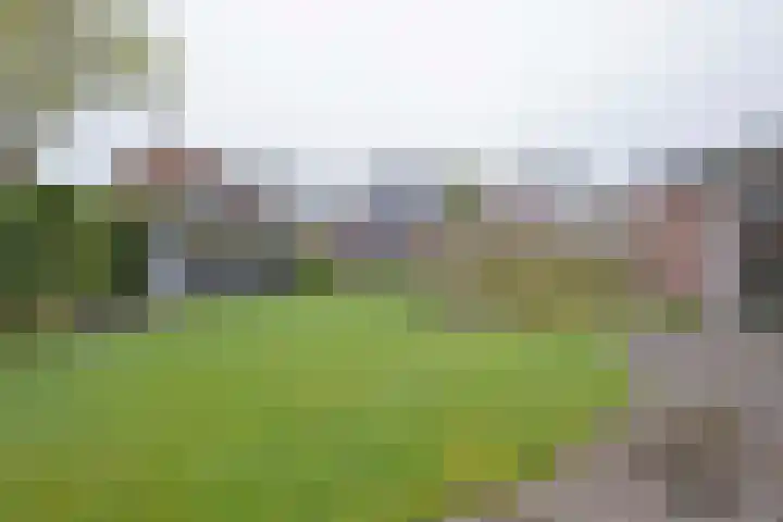 Borgerbrink 18 Emmen thumbnail 37