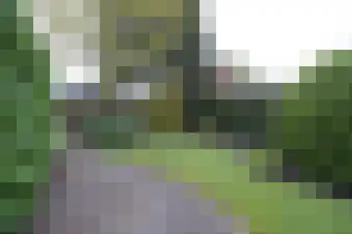 Borgerbrink 18 Emmen thumbnail 38