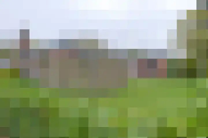 Borgerbrink 18 Emmen thumbnail 41