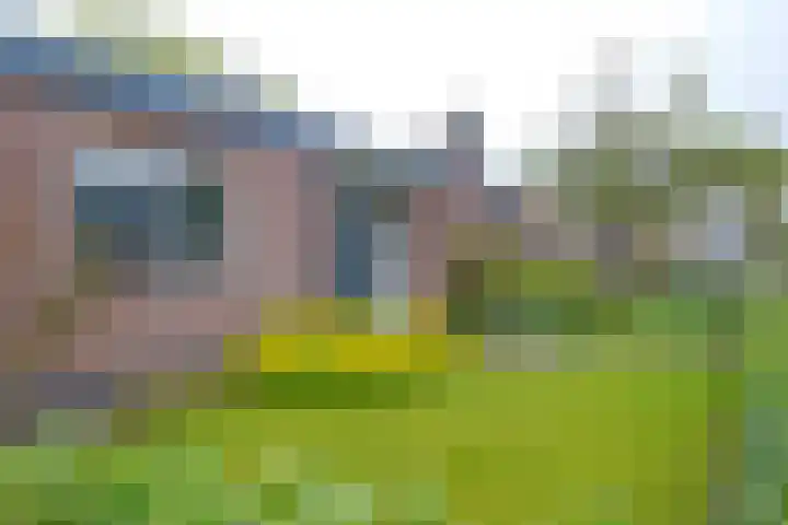 Borgerbrink 18 Emmen thumbnail 42